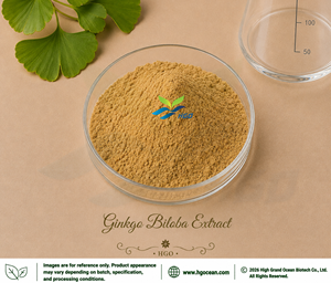 Fourniture directe d'usine HGO d'extrait de Ginkgo Biloba naturel pur (qualité alimentaire santé) 24% flavonoïdes (extrait standardisé) - Product Image 1
