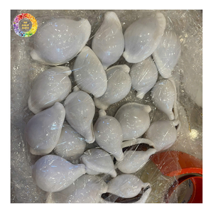 เปลือกหอยไข่ขาวขนาดเล็ก Ovula Ovum, เปลือกหอยไข่ขาวขนาดใหญ่ คอลเลกชันเปลือกหอยธรรมชาติ ของตกแต่งเปลือกหอยขัดเงา - Product Image 3