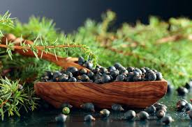 2026 New Season Premium Quality Bulk Wholesale Natural Dried Juniper Berries Organic Supply For Private <b>Label</b> Brands - Product Image 4