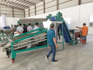 Machine de calibrage automatique de noix de cajou de haute qualité, marque TTQ, 380V, pour usine de transformation de fruits, directement du Vietnam, nouveau prix compétitif - Product Image 5