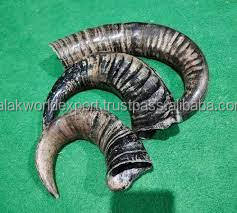 Halal falak World ส่งออกอาหารสุนัขควายฮอร์นขนมหมาที่ไม่เป็นเม็ดสำหรับแมวบรรจุในถุงจากอินเดียโดย fwe - Product Image 4