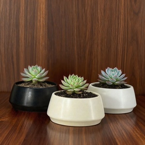 Luxury Modern Lead Free On-glazed <strong>Ceramic</strong> Irregular Shape Decorative Tabletop <strong>Flower</strong> <strong>Pots</strong> &amp; Vase Planter - Product Image 4