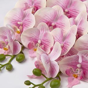 THAF-008 Tiges d'orchidées Phalaenopsis Premium au toucher réel, pétales en latex élégants et réalistes pour une décoration intérieure de luxe - Product Image 2