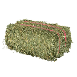 Stock frais de foin d'alfalfa de qualité supérieure pour chevaux et bovins, vente en gros en vrac d'Afrique du Sud - Product Image 1