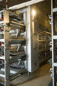 Jaula tipo H para avicultura, jaula para pollos - Product Image 2