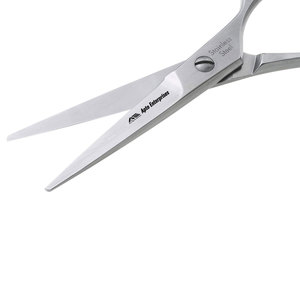 Tijeras de estilismo 5,5, tijeras para el cabello para mujeres y hombres, cuchillas de corte de larga duración de acero inoxidable plateado, maquinilla de afeitar afilada para uso en salón - Product Image 2