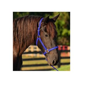 Bridon pour cheval en cuir et PVC enduit, conçu de manière intelligente, réglable, durable, imperméable, couleur bleu clair bio, personnalisable, pour usage équestre - Product Image 1