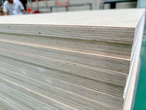 Venta al por mayor de madera contrachapada con revestimiento fenólico de grado DD, fabricada en Vietnam, con chapa de abedul para uso en muebles y construcción. - Product Image 3