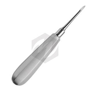 Elevador de Raíces Dental al por Mayor, Cincel de Acero Inoxidable para Extracción Dental, Instrumento de Alta Calidad para Dentistas - Product Image 2