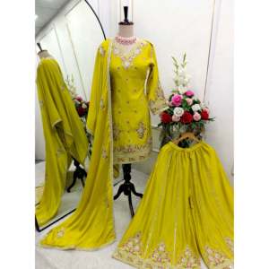 Robes de soirée de créateur, tenue de soirée élégante, top Sarara Dupatta - Product Image 4