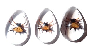 Spiny <b>Spider</b> Real Specimen <b>Plastic</b> Cabochon Pear Shape Cut Top 33x22 mm Clear Flat Bottom for Crafts and Jewelry Making - Product Image 6