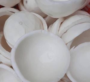 Vente en gros de viande de noix de coco fraîche congelée pour la transformation des aliments et l'exportation - Product Image 1