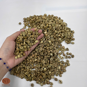 เมล็ดกาแฟโรบัสต้าสดใหม่จากโรงงาน คุณภาพส่งออก คาเฟอีนสูง รับผลิตแบบ OEM/ODM - Product Image 1