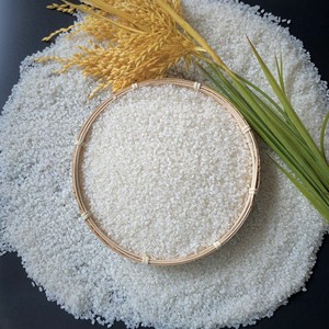 Koshihikari Sushi Rice Premium Short Grain Rice Japonica Sushi Rice Source From Vietnam - Product Image 3
