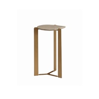 Table basse en métal durable de qualité supérieure avec plateau en verre, mobilier contemporain élégant pour hôtel, hall d'entrée et intérieurs modernes