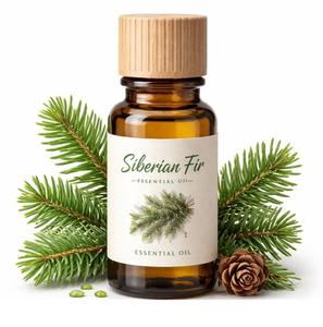 Huile Essentielle de Sapin Sibérien en Gros OEM, Extrait d'Aiguilles d'Abies Sibirica en Vrac pour l'Aromathérapie, le Spa, la Fabrication de Savons et de Cosmétiques - Product Image 1