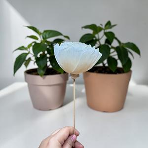 Flores de Madera Sola Hechas a Mano, Sostenibles, Clásicas, Color Marfil, Tamaño: 8.5 CM, Varilla de Fibra de Planta de Sesbania de Tailandia - Product Image 2