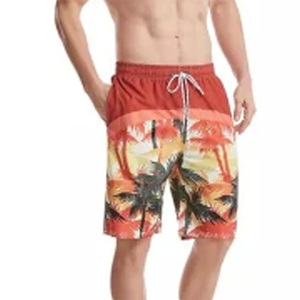 High Quality Men's Outdoor Casual Shorts Breathable <b>Slim</b> Design with Drawstring Eco-Friendly Beach Shorts - Product Image 1