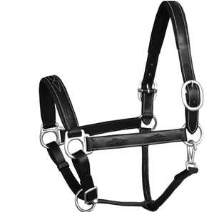 High Quality Handmade Polo Leather Horse Halter English Saddle Style Show All-Purpose Use Customizable Brass Hardware Customized - Product Image 3