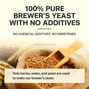 Poudre de levure de brasseurs 500g supplément nutritionnel naturel pour la santé de la peau des cheveux OEM Corée - Product Image 2