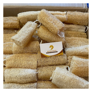 BEST PRICE / 100% NATURAL LUFFA <b>CHEAP</b> / RAW LOOFAH SPONGE VIETNAM 18-20CM OR CUSTOM - CARYLN - Product Image 4
