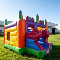 LilyToys Château gonflable personnalisé en PVC avec toboggan, château gonflable commercial pour enfants, aire de jeux