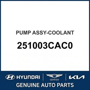 G80 ปั๊มน้ำใหม่ 251003CAC0 - Product Image 1
