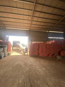 DIRECT & CHEAP - JOSS Powder MAKKO Powder for USA Incense Making Incense Sticks Market Wholesale Factory Price Bulk Export - Product Image 4