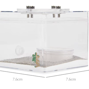 Hormiguero de Acrílico Transparente Ecológico para Hormigas 7.6x7.6x6.3cm con Cierre Push-Up - El Imperio de las Hormigas - Product Image 1