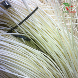 Mejor precio OEM 2,0mm 2,5mm 3,0mm Núcleo de ratán blanqueado Muebles hechos en Vietnam Artesanía Materias primas Agricultura de alta calidad - Product Image 4