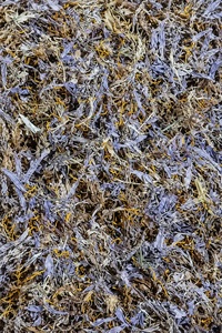 Capullos de Lavanda Secos y Estigmas de Azafrán Natural, Capullos de Flores de Lavanda Secos, Estigmas de Azafrán Crocus Sativus - Product Image 4
