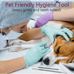 Dental Tartar <b>Scraper</b> Tool Double Ended Explorer Probe #5 Plaque Remover Stainless Steel Reusable <b>Tooth</b> Pick for <b>Teeth</b> Clean - Product Image 5