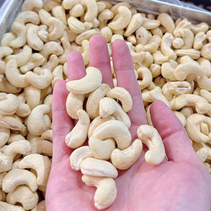 Premium Processing Kaju Cashew <b>Nuts</b> <b>Kernel</b> Cashew <b>Kernel</b> SANTIGO Certified To ISO And HACCP Standards Caju Badam - Product Image 6