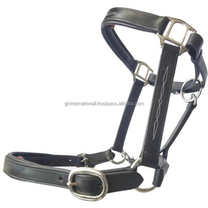 Harnais de cheval en cuir rembourré de haute qualité, doublement réglable, extra confortable, avec ferrures en laiton robustes - Product Image 3