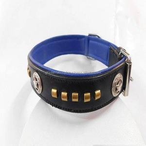 Collar de perro premium hecho a mano, cuero de grano superior con hardware pesado de latón y relleno suave de color azul - Product Image 3