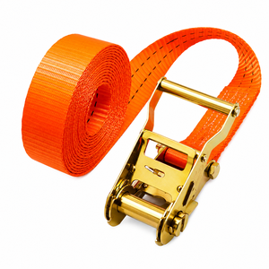 OEM 38mm Premium Polyester <b>Cargo</b> Securing Strap with Wire Hooks 6m 2000kg Custom Logo Available - Product Image 6