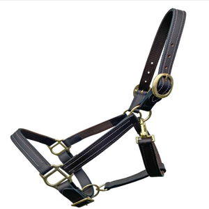 Strong Sturdy Double Stitched Padded Leather Horse <b>Halter</b> Available in all custom sizes and colors with adjustable Brass Fitting - Product Image 3