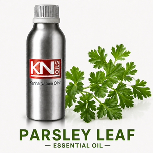 100%Pure Parsley Leaf <b>Essential</b> <b>Oil</b> Bulk Manufacturer Petroselinum Crispum Organic Certified Cosmetic Grade Global Exporter - Product Image 1