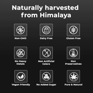 Resina de Shilajit de Grado Oro OEM, Resina de Shilajit Original del Himalaya 30g, Rica en Ácido Fúlvico, Ácido Húmico y Minerales para el Sistema Inmunológico - Product Image 3