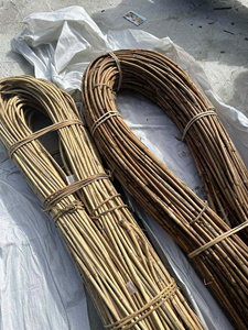 Varas de Ratán Natural de 2-3 Metros de Largo, Forma Redonda, Secado al Aire, Origen Vietnam Quang Binh, Marca 99GD, Modelo Emma, 2 Metros de Diámetro - Product Image 4