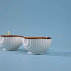 Modern Design Handpainted Ribbed Porcelain Soup Bowls <b>Set</b> of 2-<b>Microwave</b> Oven Safe for Mixing Ingredients - Product Image 4