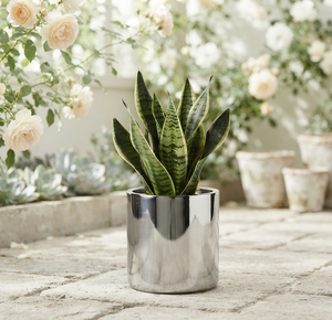 Jardinière en métal poli argenté, décorative pour salon, en acier inoxydable, design artisanal, pour balcon et décoration de mariage - Product Image 1