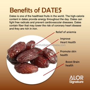 Ready Stock Halal Freeze Dried Dates Yogurt Bites Probiotics Sweet Taste Kids Health Snacks <b>Vacuum</b> Pack Free Samples Available - Product Image 4