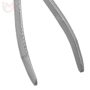 Forceps d'extraction dentaire chirurgical ergonomique manuel pour les premiers molaires IMANS - Product Image 3
