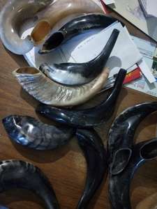 ฮอร์นชูฟู่ - Product Image 2