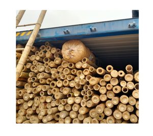 Poteaux en bambou en gros, matériau naturel pour clôtures et utilisation extérieure - Product Image 4