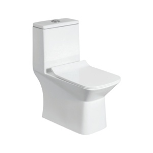WC monobloc contemporain allongé, à poser au sol, à double chasse (S-Trap/P-Trap), facile à nettoyer, en céramique vitrifiée pour salle de bain - Product Image 1