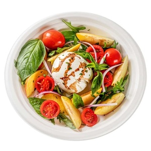 Assiettes à dessert écologiques biodégradables de 6 pouces, robustes, en bagasse de canne à sucre, personnalisables pour les fêtes, les mariages, les restaurants - Product Image 1