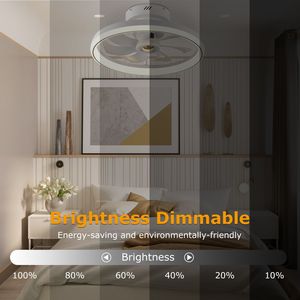 Ventilatore da Soffitto LED con Luce da 60W, Lampada a Sospensione da 19,7 Pollici, Ventilatore a 6 Velocità, Regolazione Colore Luce 3000-6500W - Product Image 3