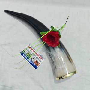 Corne à boire en corne de bœuf de qualité supérieure avec lèvre en laiton, style médiéval, artisanat naturel, écologique, polie, corne à boire viking - Product Image 2